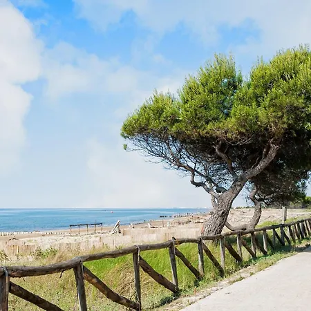 Apartment Great Flat In A Quiet Area *