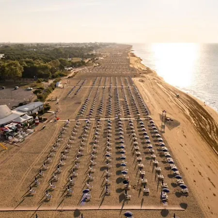 Great Flat In A Quiet Area