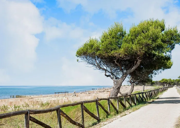 Appartement Great Flat In A Quiet Area *